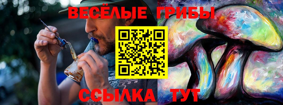 закладка  Вход с VPN  Великий Новгород  Псилоцибиновые грибы мухоморы  Галлюциногенные грибы MAGIC MUSHROOMS 